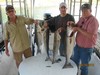 (09/24/2016) - Nice Striped Bass